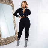 Long Sleeve Baseball Coat And Pants Two Piece Set YIM-296