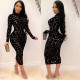 Plus Size Printed Mesh Round Neck Long Sleeve Midi Dress SH-390449