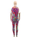Plus Size Print Short Sleeve Pants Two Piece Set MTY-6788