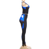 Print Sleeveless Vest And Pant Skinny Two Piece Set XEF-23753