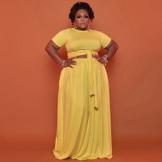Plus Size Short Sleeve Tie Up Pullover And Big Swing Skirt 2 Piece Set NNWF-3023