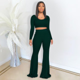 Solid Color Slim Long Sleeve Flare Pants Suit DDF-8040