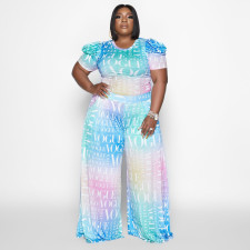 Plus Size Tie Dye Puff Sleeve Wide Leg Pant 2 Piece Set NNWF-3236