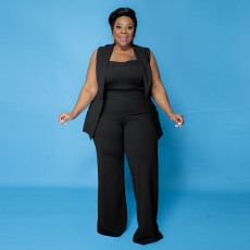 Plus Size Solid Sleeveless WIde Leg Pant 3 Piece Set NNWF-3099