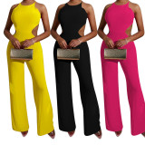 Solid Color Backless Tie Up Wide Leg Jumpsuit YD-1010