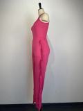 O Neck Vest And Tassel Pant Two Piece Set GWDS-230206
