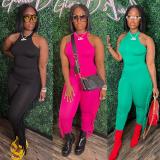 O Neck Vest And Tassel Pant Two Piece Set GWDS-230206