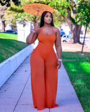 Plus Size Sexy Mesh Halter Wide Leg Jumpsuit XYF-9291