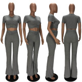 Plus Size Cropped Top Flared Pants 2 Piece Set XYF-9250
