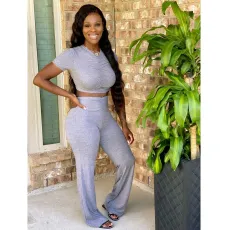 Plus Size Cropped Top Flared Pants 2 Piece Set XYF-9250
