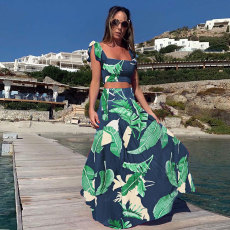 Plus Size Casual Print Top Long Skirt Two Piece Set NY-9070