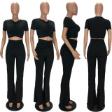Plus Size Cropped Top Flared Pants 2 Piece Set XYF-9250