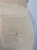 Fashion knitted Hollow Short Sleeve Shorts Two Piece Set GWDS-230336