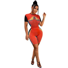Printed Short Sleeve Shorts Two Piece Set TE-4592