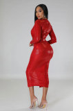 Solid Long Sleeve Slim Fit Midi Dress XHXF-342