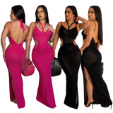 Sexy Mesh Backless Split Maxi Dress CM-8666