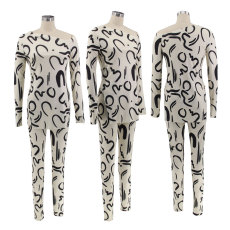 Long Sleeve Print Split Two Piece Pants Set HNIF-098