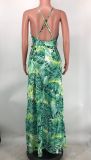 Sexy Sling V Neck Print Dress XMY-9400