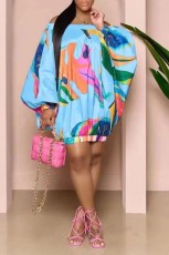 Casual Print Long Sleeve Loose Mini Dress OD-8545