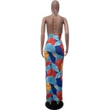 Casual Print Halter V Neck Maxi Dress OLYF-6116