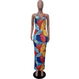 Casual Print Halter V Neck Maxi Dress OLYF-6116