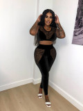 Solid Color Mesh Patchwork Two Piece Pants Set XHSY-19560