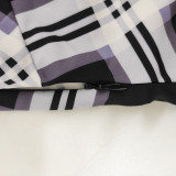 Fashion Plaid Print Long Sleeve Maxi Dress SMR-11891