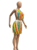 See-through Knitted Tassel Multicolor Beach Skirt Set YMEF-5155
