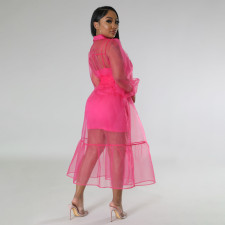 Sling Dress Single-breasted Mesh Dress 2 Piece Set MIL-L460