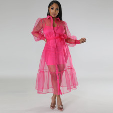 Sling Dress Single-breasted Mesh Dress 2 Piece Set MIL-L460