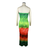Printed Wrap Chest Nightclub Long Dress TE-4624