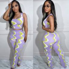 Fashion Print Sleeveless Top Pants Two Piece Set ORY-5248