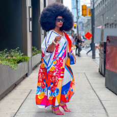 Fashion Print V Neck Loose Maxi Dress NNWF-7785