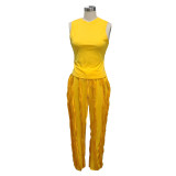 Casual Tank Top Tassel Pants Two Piece Set AIL-220