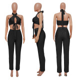 Solid Color Sleeveless Tie Up Halter Two Piece Set YF-10479