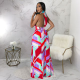 Sexy Print Halter Tie Up Backless Maxi Dress YF-10490