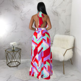 Sexy Print Halter Tie Up Backless Maxi Dress YF-10490
