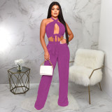 Solid Color Sleeveless Tie Up Halter Two Piece Set YF-10479