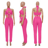 Solid Color Sleeveless Tie Up Halter Two Piece Set YF-10479