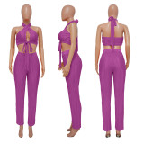 Solid Color Sleeveless Tie Up Halter Two Piece Set YF-10479