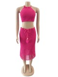 Tassel Fishnet Knitted Casual Two Piece Skits Set OSM-4387