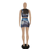 Sexy Mesh Print Sleeveless Skirts Two Piece Set FENF-272