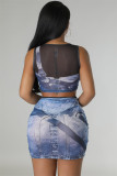 Sexy Mesh Print Sleeveless Skirts Two Piece Set FENF-272