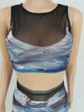Sexy Mesh Print Sleeveless Skirts Two Piece Set FENF-272