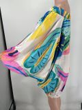 One Shoulder Lantern Sleeve Printed Dress NK-8623