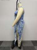 Sexy Sling Print Irregular Bandage Two Piece Skirt Set NY-2723