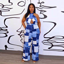 Plus Size Print Sleeveless Tie Up Loose Jumpsuit WAF-77568