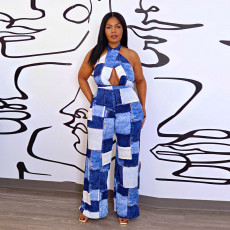 Plus Size Print Sleeveless Tie Up Loose Jumpsuit WAF-77568