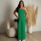 Pleated Fabric Wrap Chest Wide Leg Jumpsuit ASL-6668