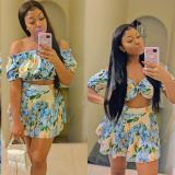 Printed Short Sleeve Crop Top+Pleated Skirt Set BN-9431